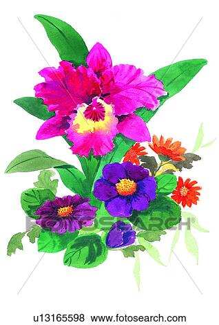 watercolor, pink, flower, plant View Large Illustration Stock Illustration - watercolor, pink, flower, plant. Fotosearch