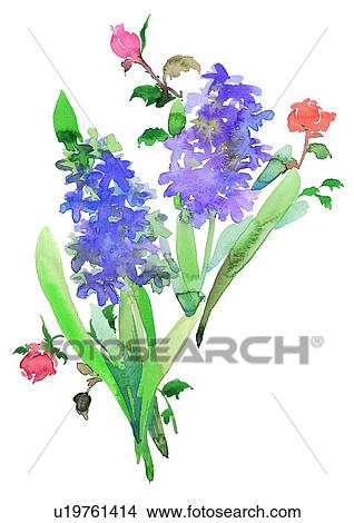 watercolor, plant, flower, purple View Large Illustration Stock Illustration - watercolor, plant, flower, purple. Fotosearch