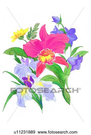 watercolor, plant, flower View Large Illustration Stock Illustration - watercolor, plant, flower. Fotosearch
