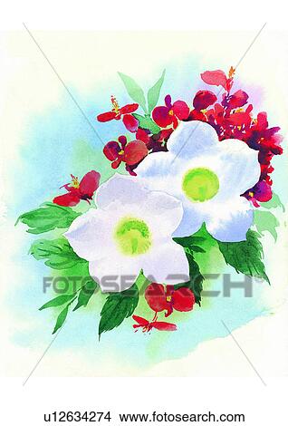 Stock Illustration - watercolor, plant, flower, white. Fotosearch