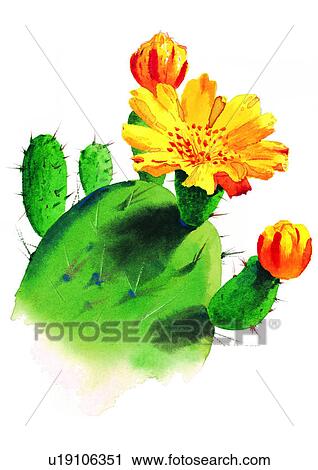 watercolor, plant, flower, yellow View Large Illustration Clip Art - watercolor, plant, flower, yellow. Fotosearch