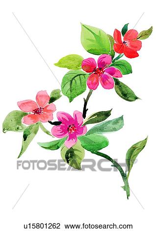 Drawing - watercolor, red, green, flower, plant. Fotosearch