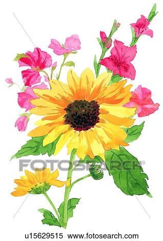 yellow, flower, watercolor, sunflower, plant View Large Illustration Stock Illustration - yellow, flower, watercolor, sunflower, plant. Fotosearch