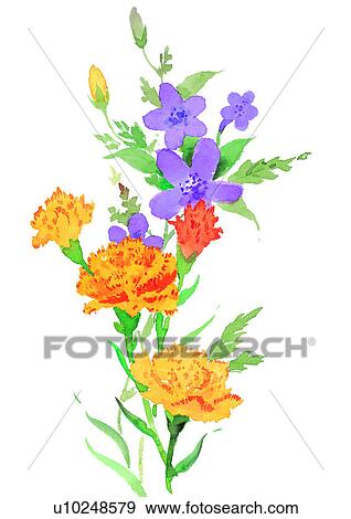 yellow, plant, flower, watercolor, purple View Large Illustration Stock Illustration - yellow, plant, flower, watercolor, purple. Fotosearch