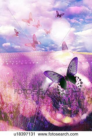 Butterflies in a field superimposed on a purple background View Large Illustration Clip Art - Butterflies in a field superimposed on a purple background. Fotosearch