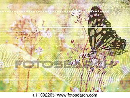 Butterfly on a flower superimposed on a fingerprint View Large Illustration Stock Illustration - Butterfly on a flower superimposed on a fingerprint. Fotosearch