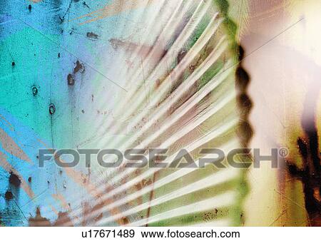 Close-up of a seashell superimposed on a metal surface View Large Illustration Stock Illustration - Close-up of a seashell superimposed on a metal surface. Fotosearch