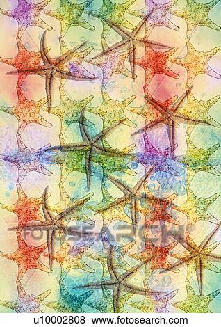 Starfish superimposed on a multi colored background View Large Illustration Stock Illustration - Starfish superimposed on a multi colored background. Fotosearch