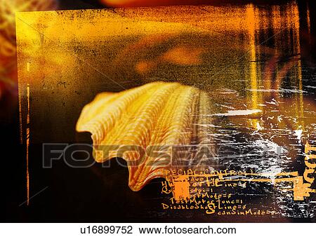 Text superimposed on a seashell View Large Illustration Drawing - Text superimposed on a seashell. Fotosearch