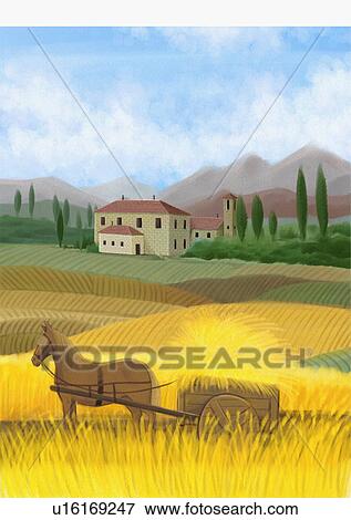 Horse and cart full of hay in fields of a farm View Large Illustration Stock Illustration - Horse and cart full of hay in fields of a farm. Fotosearch