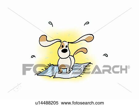 Wet dog shaking water off View Large Illustration Stock Illustration - Wet dog shaking water off. Fotosearch