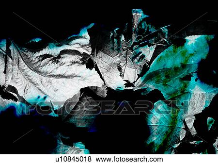 Stock Illustration - Black and white leaves superimposed on a black background. Fotosearch