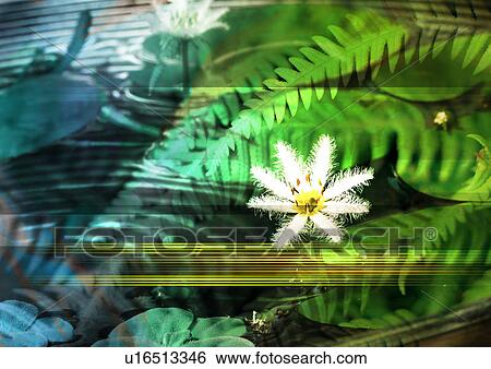 Spa products superimposed on a pastel background View Large Illustration Stock Illustration - Spa products superimposed on a pastel background. Fotosearch