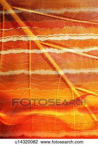 Drawing - Close-up of a leaf superimposed on an orange background. Fotosearch