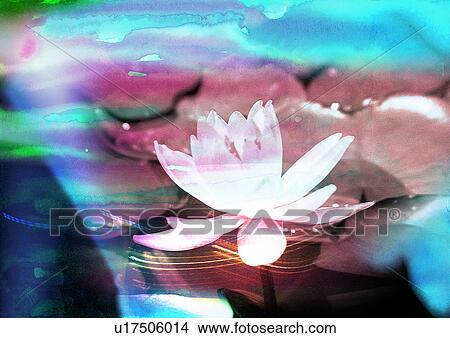 Close-up of a lotus superimposed on a blue background View Large Illustration Stock Illustration - Close-up of a lotus superimposed on a blue background. Fotosearch