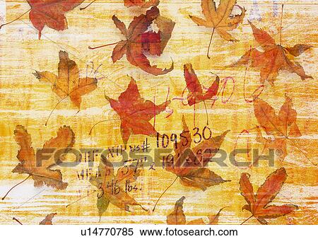 Maple leaves superimposed on an orange background View Large Illustration Stock Illustration - Maple leaves superimposed on an orange background. Fotosearch