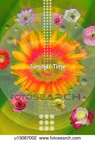 Flowers superimposed on a green background View Large Illustration Drawing - Flowers superimposed on a green background. Fotosearch