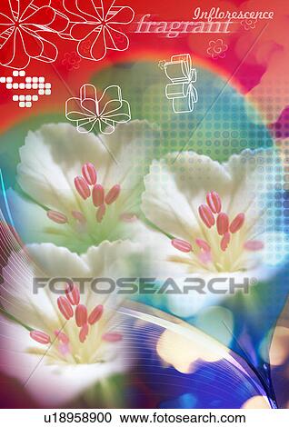 Clipart - Flowers superimposed on a multi colored background. Fotosearch