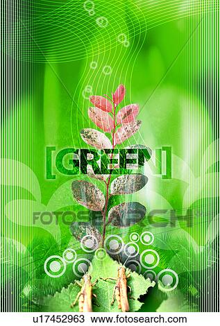Leaves superimposed on a green background View Large Illustration Drawing - Leaves superimposed on a green background. Fotosearch