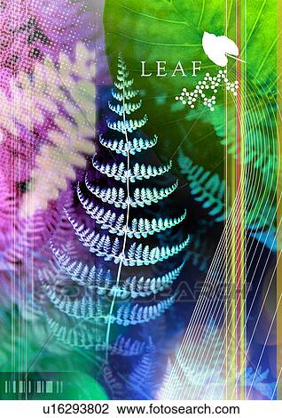 Drawing - Leaves superimposed on a multi colored background. Fotosearch