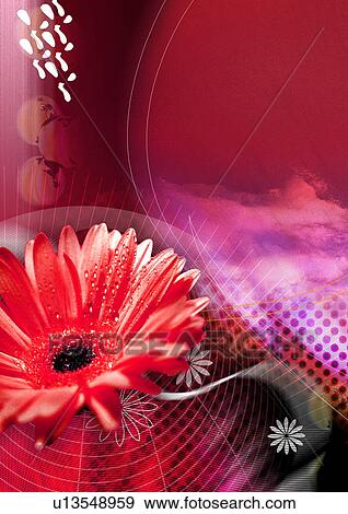Stock Illustration - Flowers superimposed on a colored background. Fotosearch