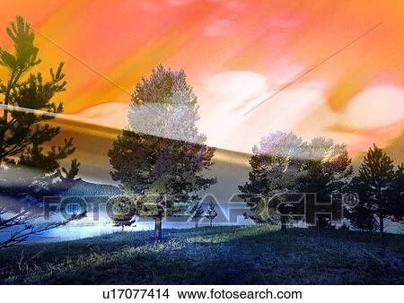 Stock Illustration - Array of trees superimposed on an orange background. Fotosearch