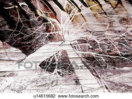 Drawing - Fallen tree superimposed on a brown background. Fotosearch