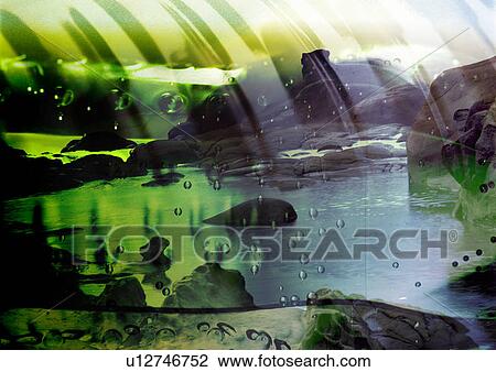Drawing - Pattern of droplets superimposed on an image of a lake. Fotosearch