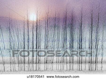 Sunset behind trees superimposed on a grey background View Large Illustration Clip Art - Sunset behind trees superimposed on a grey background. Fotosearch