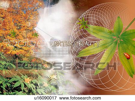 Stock Illustration - Leaves superimposed on an image of the wilderness. Fotosearch