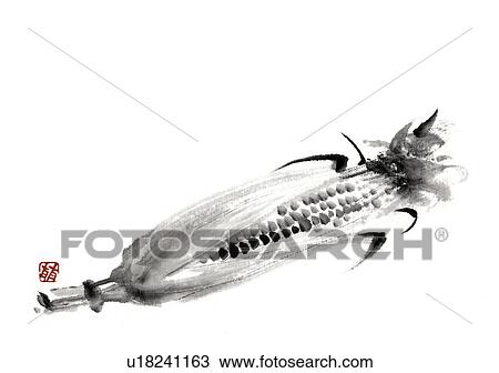 Drawing - An ear of corn, ink brush painting, white background, cut out, copy space. Fotosearch
