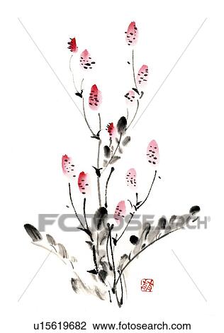 Drawing - Burnet, front view, ink brush painting, white background, cut out. Fotosearch