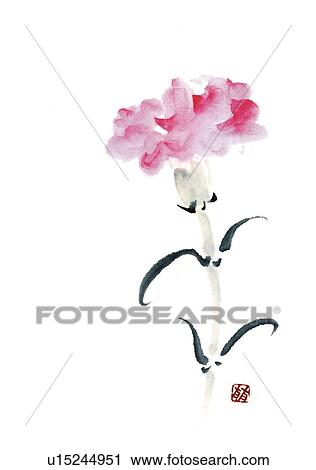 Carnation, ink brush painting, white background, cut out, copy space View Large Illustration Clip Art - Carnation, ink brush painting, white background, cut out, copy space. Fotosearch