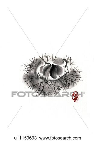 Chestnuts, ink brush painting, white background, cut out, copy space View Large Illustration Drawing - Chestnuts, ink brush painting, white background, cut out, copy space. Fotosearch