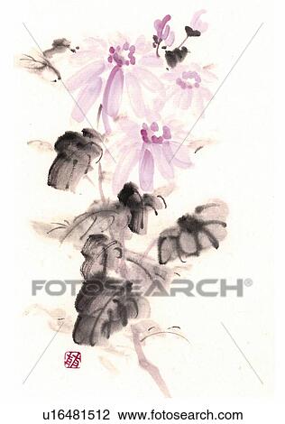 Chrysanthemum, ink brush painting, white background, cut out View Large Illustration Drawing - Chrysanthemum, ink brush painting, white background, cut out. Fotosearch