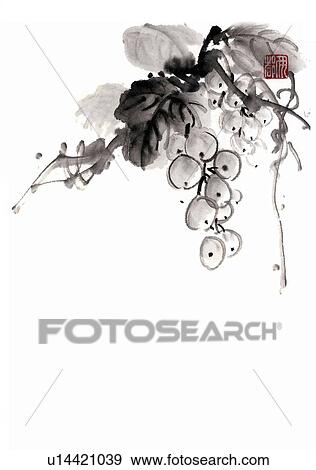Clusters of grapes, ink brush painting, white background, cut out, copy space View Large Illustration Stock Illustration - Clusters of grapes, ink brush painting, white background, cut out, copy space. Fotosearch