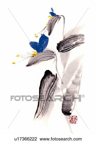 Day flower, ink brush painting, white background, cut out View Large Illustration Drawing - Day flower, ink brush painting, white background, cut out. Fotosearch