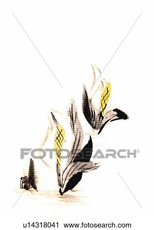 Eastern skunk cabbages, ink brush painting, white background, cut out, copy space View Large Illustration Clip Art - Eastern skunk cabbages, ink brush painting, white background, cut out, copy space. Fotosearch