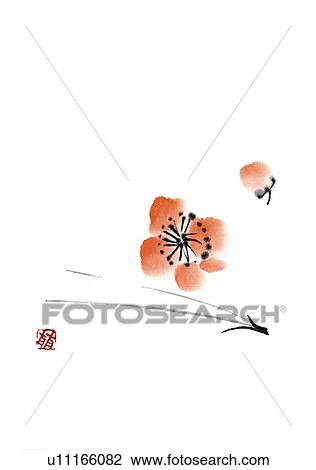 Heads of plum blossoms and pine leaf, ink brush painting, white background, cut out, copy space View Large Illustration Drawing - Heads of plum blossoms and pine leaf, ink brush painting, white background, cut out, copy space. Fotosearch