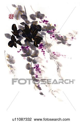 Drawing - Japanese bush clover, ink brush painting, white background, cut out. Fotosearch
