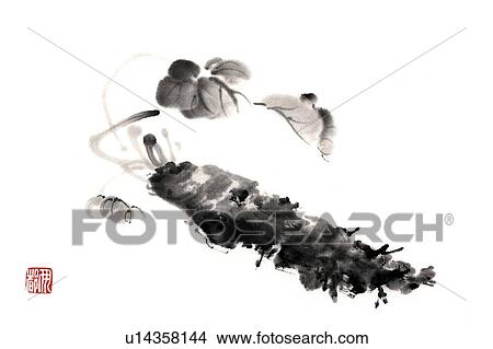 Stock Illustration - Japanese horseradish, ink brush painting, white background, cut out. Fotosearch