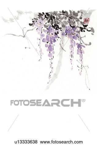 Japanese wisteria, ink brush painting, white background, cut out, copy space View Large Illustration Stock Illustration - Japanese wisteria, ink brush painting, white background, cut out, copy space. Fotosearch