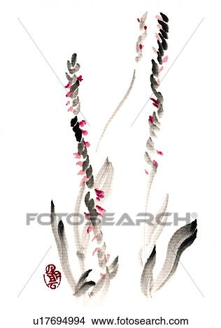 Ladies' tresses, ink brush painting, white background, cut out View Large Illustration Stock Illustration - Ladies' tresses, ink brush painting, white background, cut out. Fotosearch