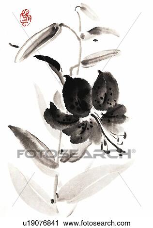 Lily, ink brush painting, white background, cut out View Large Illustration Clip Art - Lily, ink brush painting, white background, cut out. Fotosearch