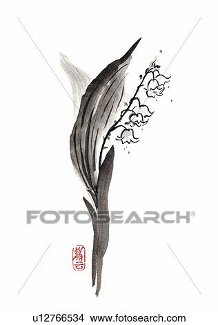 Lily-of-the-valley, ink brush painting, white background, cut out View Large Illustration Stock Illustration - Lily-of-the-valley, ink brush painting, white background, cut out. Fotosearch