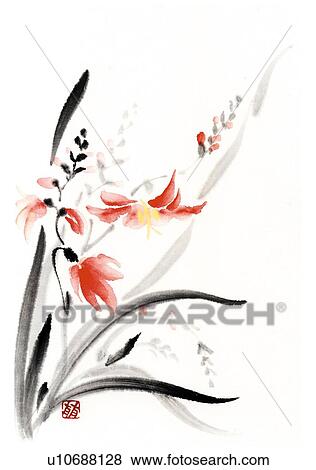Stock Illustration - Montbretia, ink brush painting, white background, cut out. Fotosearch