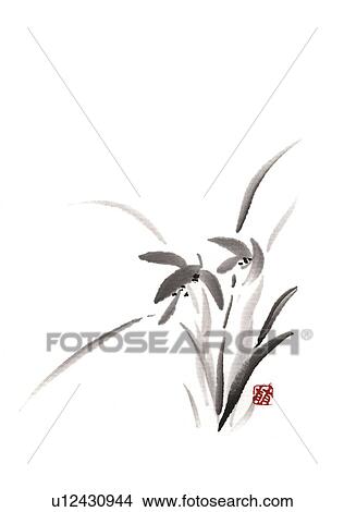 Stock Illustration - Orchid, ink brush painting, white background, cut out, copy space. Fotosearch