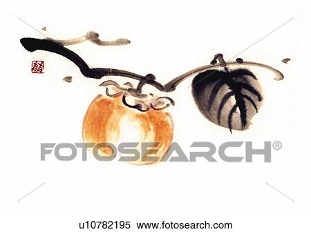 Stock Illustration - Persimmon hanging from branch, ink brush painting, white background, cut out. Fotosearch