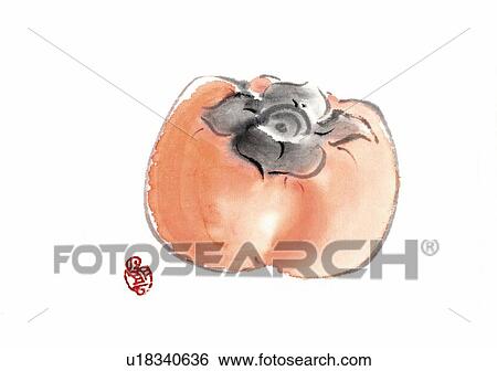 Stock Illustration - Persimmon, ink brush painting, white background, cut out. Fotosearch