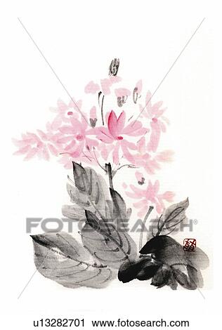 Clip Art - Primula, ink brush painting, white background, cut out. Fotosearch